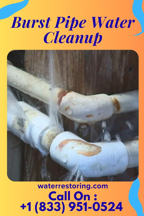 Burst Pipe Water Cleanup in Winston-Salem, NC
