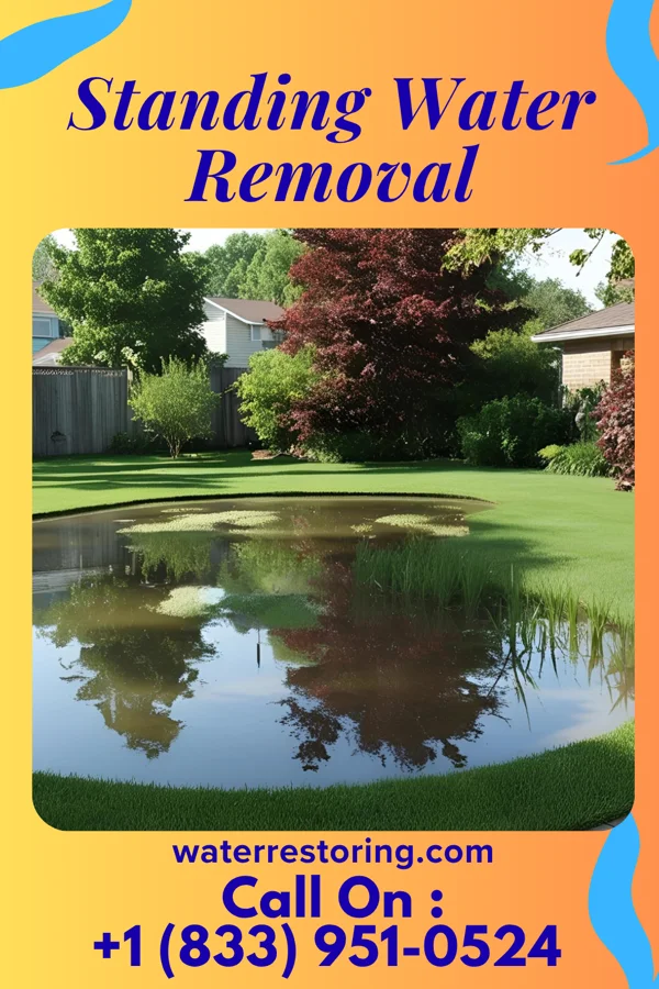 Standing Water Removal in Winston-Salem, NC